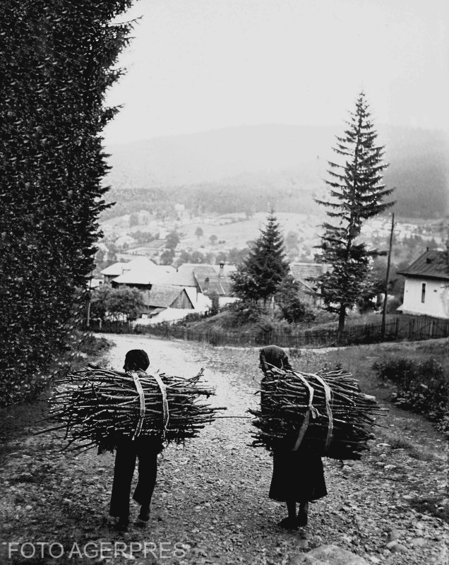 Sat de munte; tarani cu baloturi de crengi. (1936)