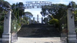 alameda-botanic-gardens-andalucia-travel-guide